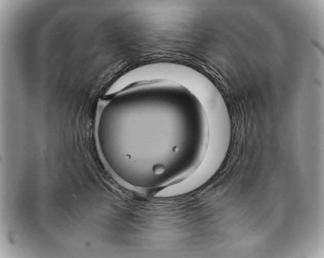 X0000094780713200712071204