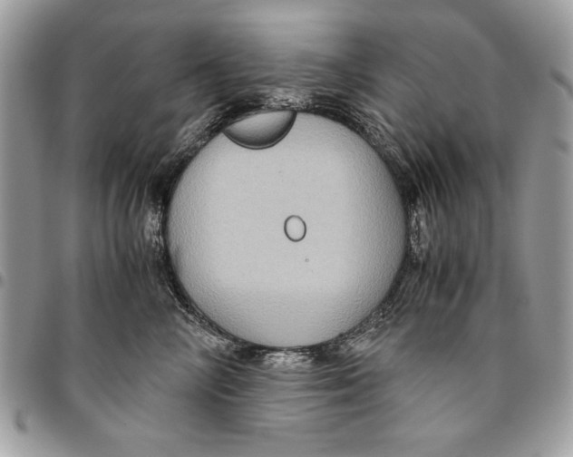 X0000094780714200712071204