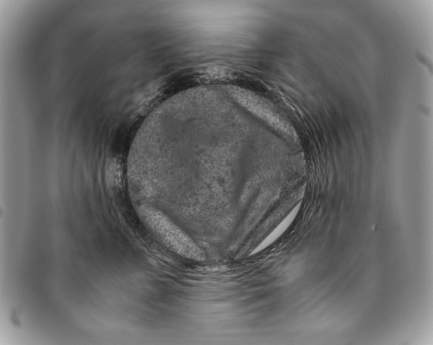 X0000094780715200712071204