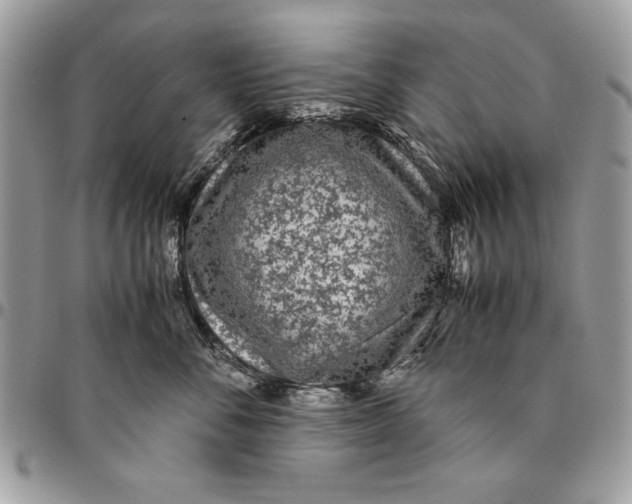 X0000094780716200712071204