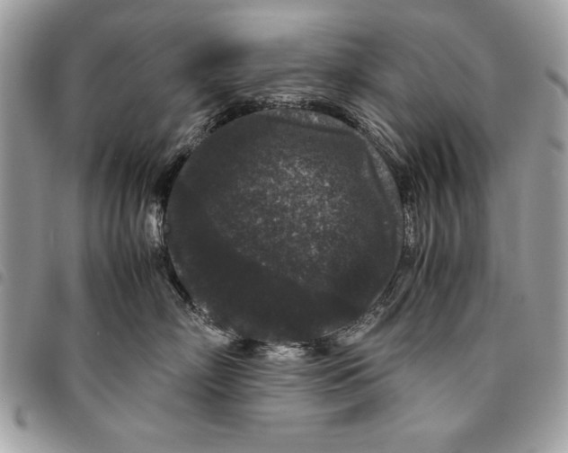 X0000094780718200712071204