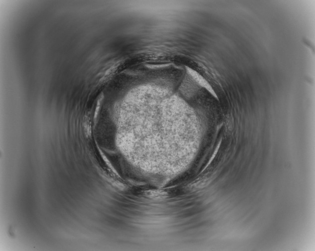 X0000094780719200712071204