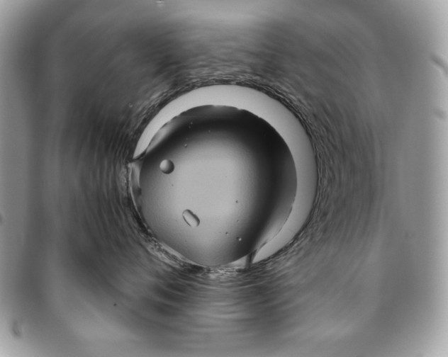 X0000094780720200712071204