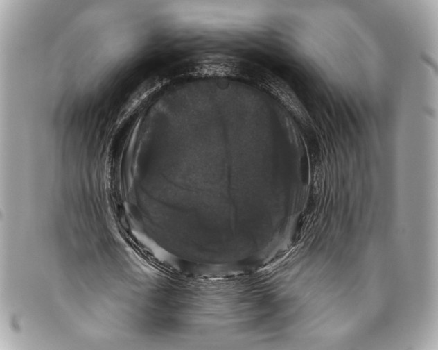 X0000094780722200712071204