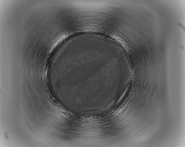 X0000094780723200712071204