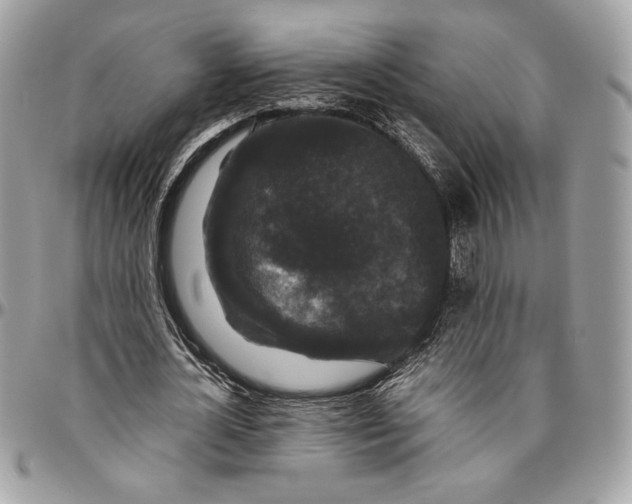 X0000094780724200712071204