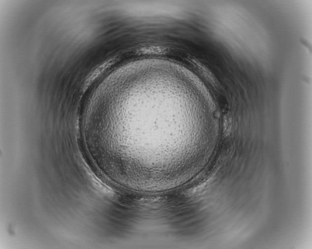 X0000094780725200712071204