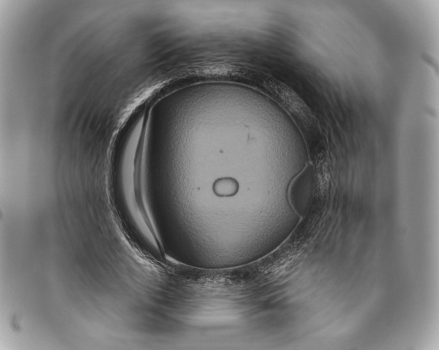 X0000094780728200712071204