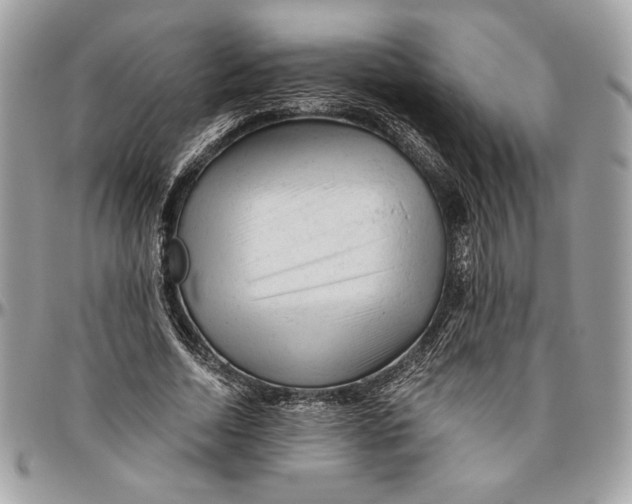 X0000094780730200712071204