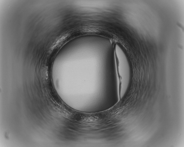 X0000094780731200712071204