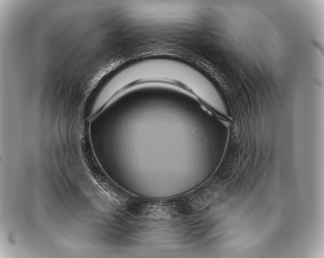 X0000094780732200712071204