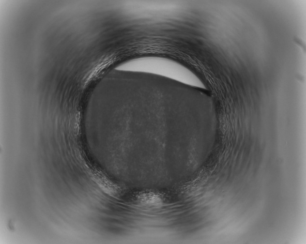 X0000094780735200712071204