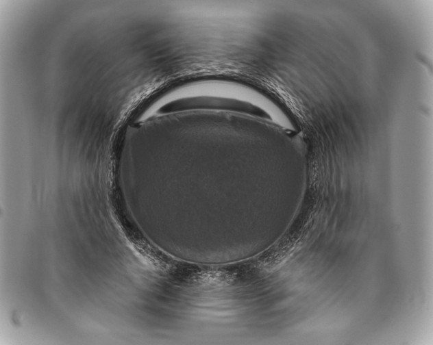 X0000094780736200712071204