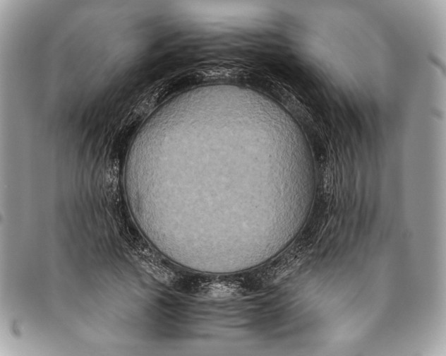 X0000094780737200712071204