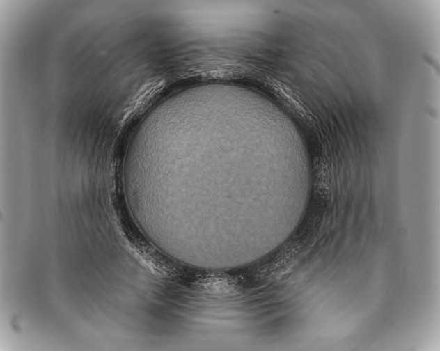 X0000094780738200712071204