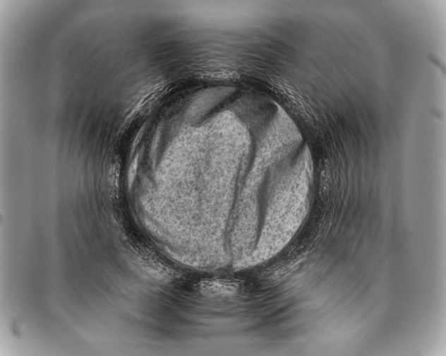 X0000094780739200712071204