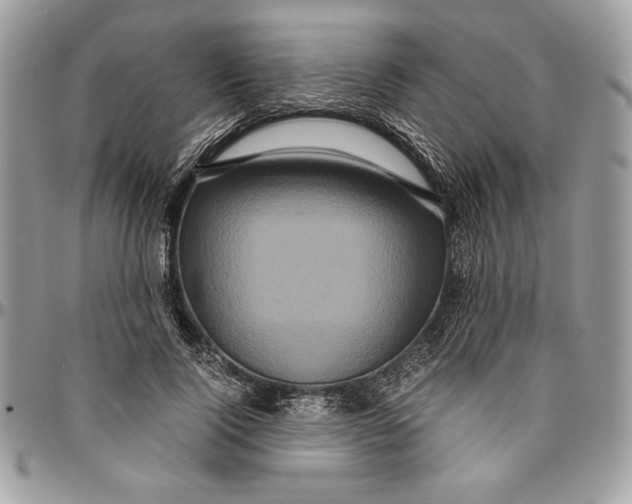 X0000094780740200712071204