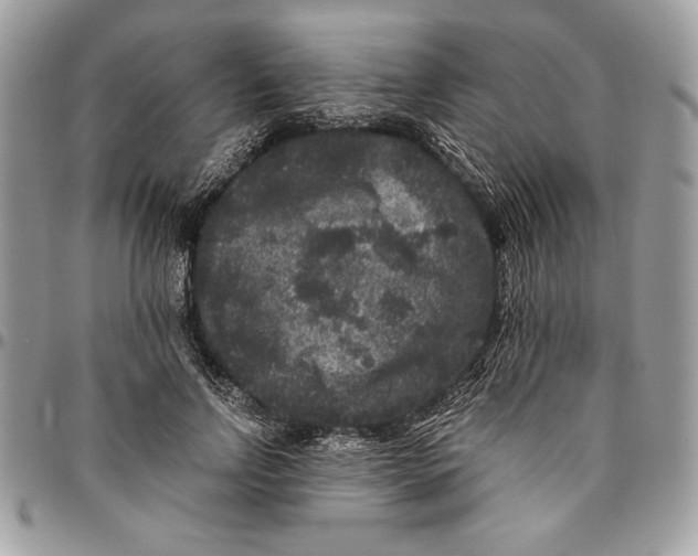 X0000094780742200712071204