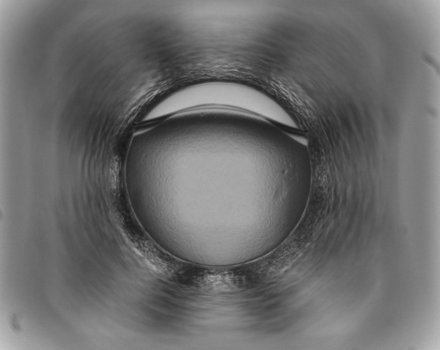 X0000094780744200712071204