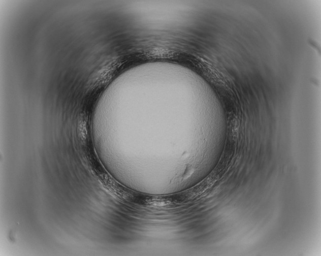 X0000094780746200712071204