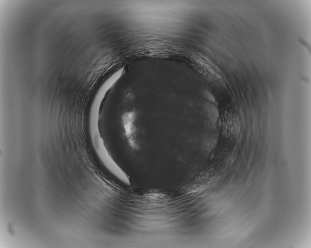 X0000094780748200712071204