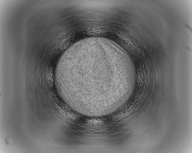 X0000094780749200712071204