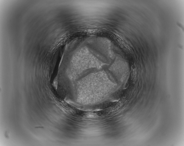 X0000094780750200712071204