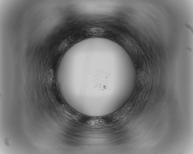 X0000094780752200712071204