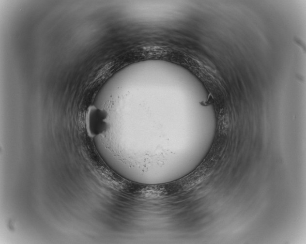 X0000094780756200712071204