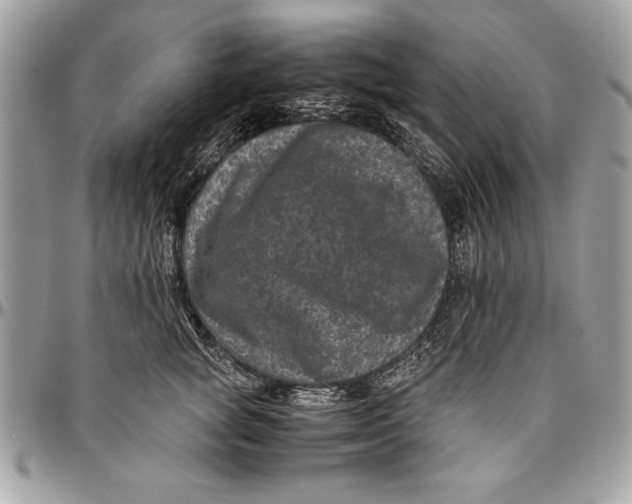 X0000094780757200712071204