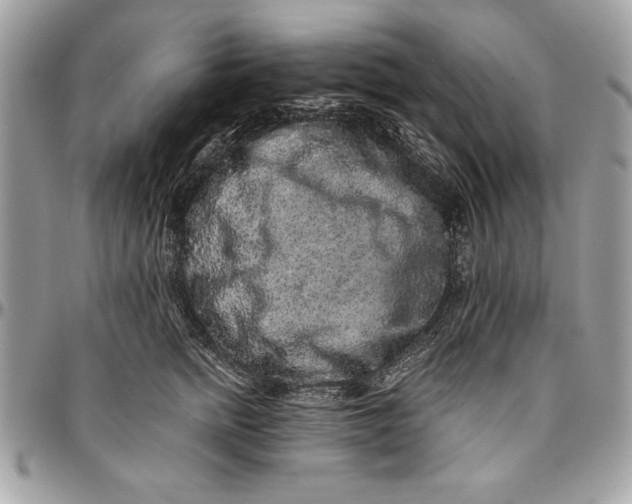 X0000094780758200712071204