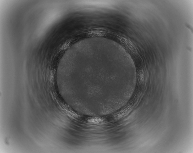 X0000094780759200712071204