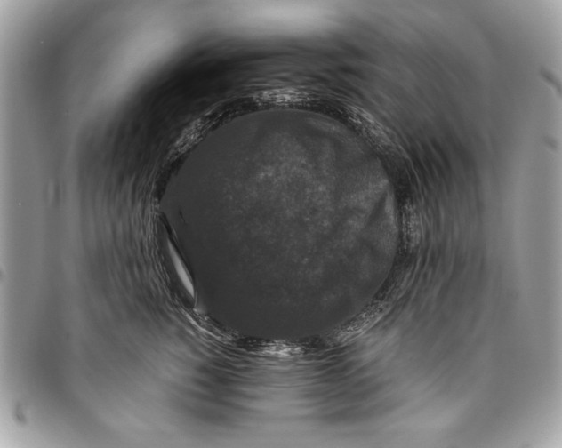 X0000094780760200712071204