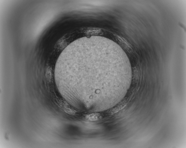 X0000094780761200712071204