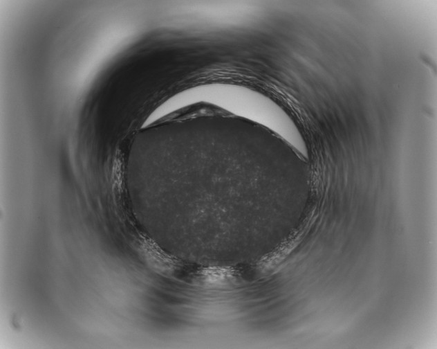 X0000094780762200712071204