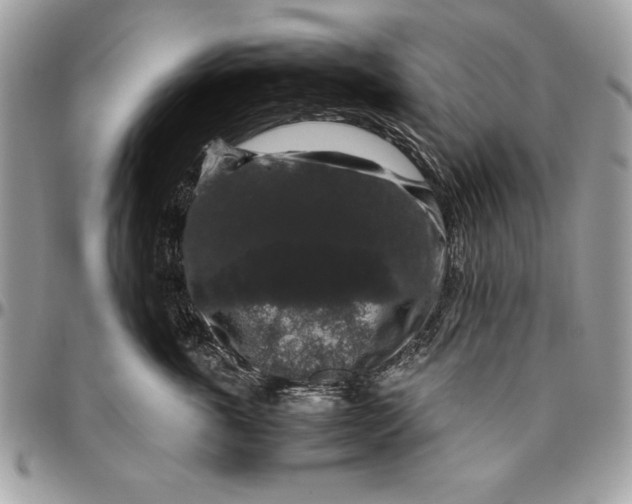 X0000094780763200712071204