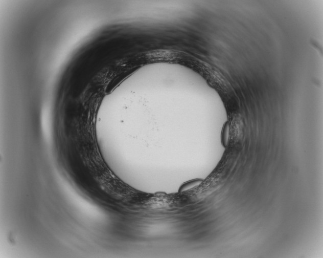 X0000094780764200712071204