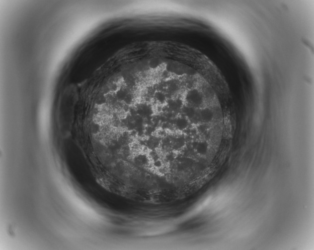 X0000094780765200712071204