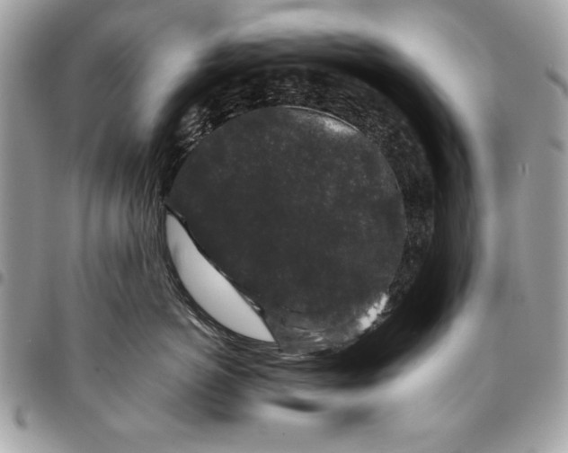 X0000094780766200712071204