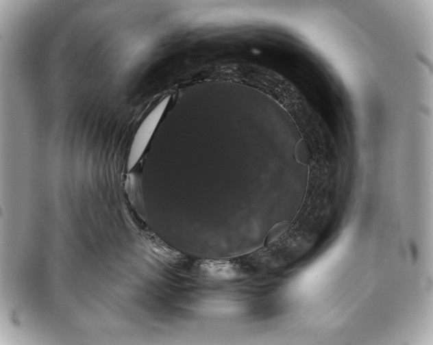 X0000094780767200712071204