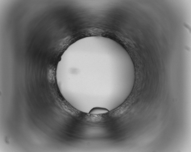 X0000094780768200712071204