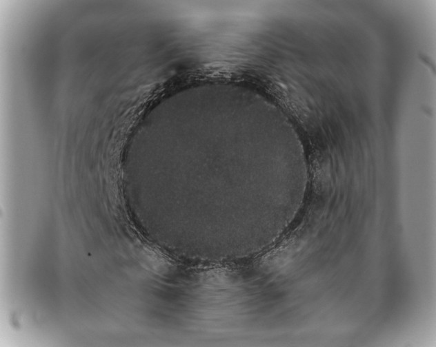 X0000094780769200712071204