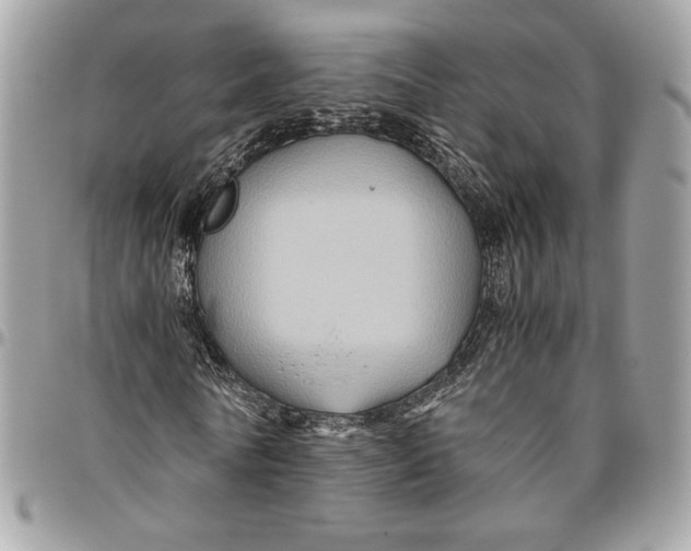 X0000094780770200712071204