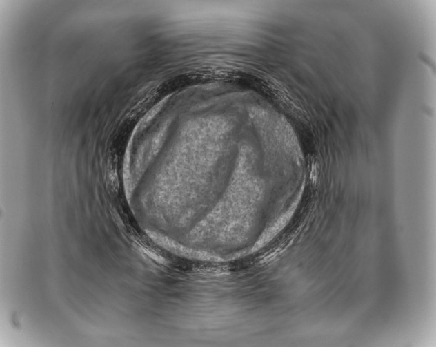 X0000094780771200712071204