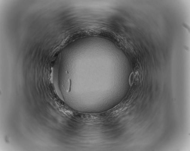 X0000094780772200712071204