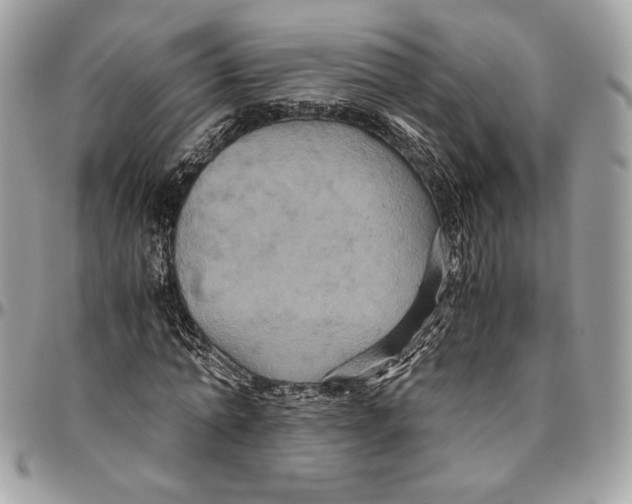 X0000094780774200712071204