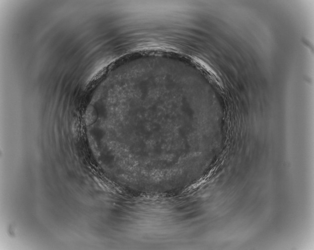 X0000094780775200712071204