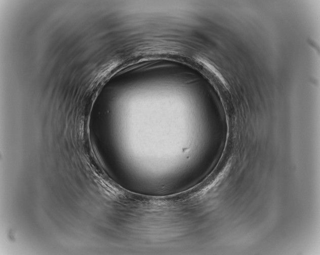 X0000094780777200712071204