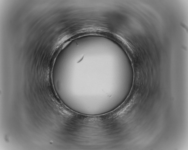 X0000094780778200712071204