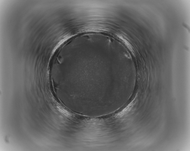 X0000094780779200712071204